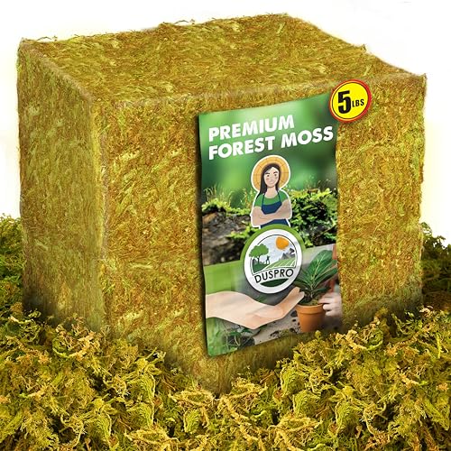 5 LBS Real Dried Forest Moss for Potted Plants, Plant Propagation | Hand-Picked & Clean, Easy to Rehydrate, Balanced Moisture, Forest Orchid Moss for Potting Mix,Moss Soil Cover for Houseplants - color: 5 LBS