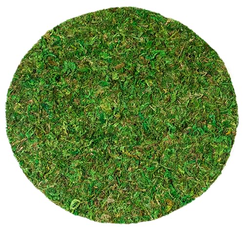 SuperMoss (26310) Moss Soil Toppers (Place Mats), Fresh Green, 10" (3 units) - color: Fresh Green, size: 10" (3 units)