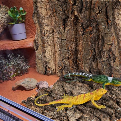 Toyvian Natural Cork Bark Terrarium Background, 4 Pack 6x6inch Reptile Enclosure Decor Panels Climbing Habitat Accent for Gecko Lizard Frog