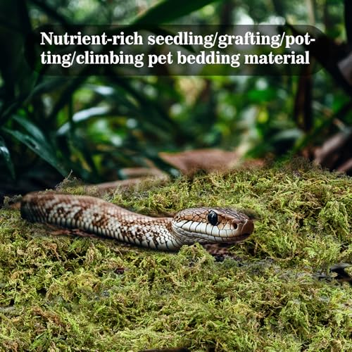 Sukh Sphagnum Moss for Reptiles - Terrarium Reptiles Moss Green Dried Peat Moss Habitat Bedding Moss for Snakes Turtle Frog Gecko and Other Reptiles Substrate (30, Ounces) | Habitat Bedding for Gecko, Snake, Turtle, Frog, Bearded Dragon, Jumping Spider, C
