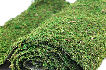 SuperMoss (22430) All Purpose Moss Mat Runners, Instant Green,Fresh Green 18" x 48" - color: Fresh Green, size: 18" x 48"