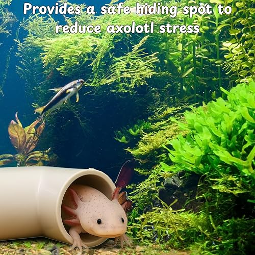 Axolotl Hide Tube and Silk Plants for Aquarium, Axolotl Cave and Aquatic Plant Set, Axolotls Hides and Green Plants, Aquarium Decor, Fish Tank Decorations, Turtle Tank Accessories (White, 11 * 3.5in)