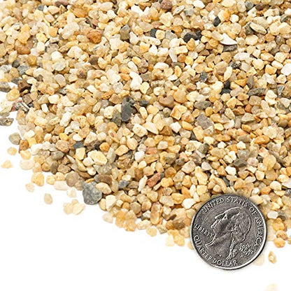 Coarse Sand Stone - Succulents and Cactus Bonsai DIY Projects Rocks, Decorative Gravel for Plants and Vases Fillers，Terrarium, Fairy Gardening, Natural Stone Top Dressing for Potted Plants. - size: 2 LB