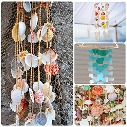 LUCKY BABY Sea Shells Mixed with Sea Glass 7 Ounces for Crafts, Natural Scallop Seashells for Decorating, Seaglass Decor for Fish Tank Vase Fillers Home Deco, Beach Themed Party Wedding