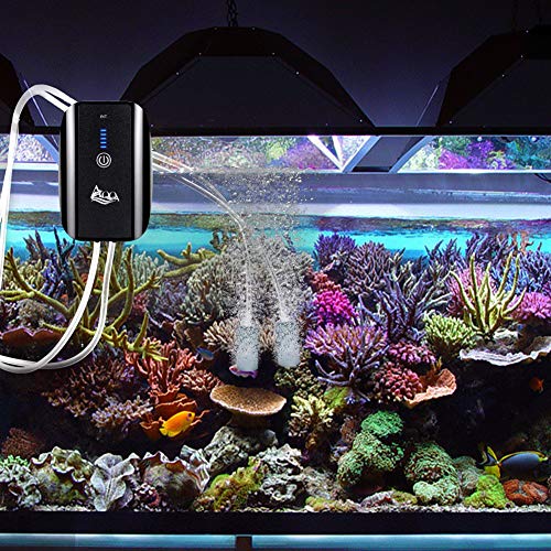 AQQA Aquarium Air Pump Battery Rechargeable Fish Air Pumps | 5W, Portable Bubbles Oxygen Pump Aquarium Aerator Fresh & Saltwater Aquariums Air Pumps with Air Stone, Tubes, USB Cable - size: 5W for 1-160Gal tank