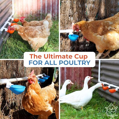 Lil'Clucker Large Automatic Chicken Waterer Cups with 1/2" PVC Tee Fittings - Chicken Water Cups, Chicken Water Feeder, for Chicks, Duck, Goose, Turkey - Poultry Waterer Feeder Kit (Orange, 8-Pack) - size: 8-Pack