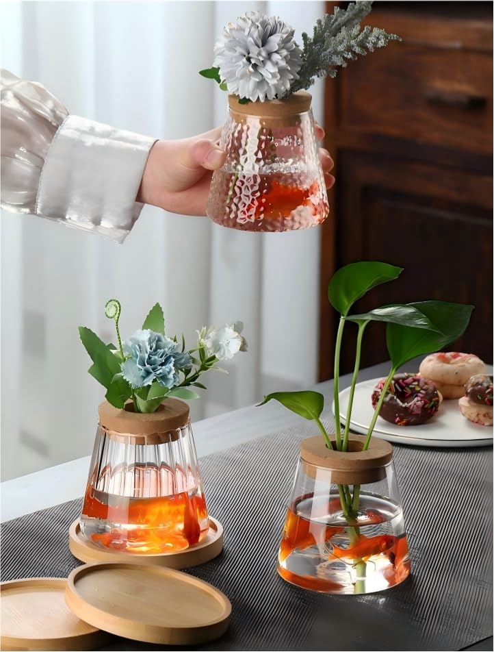 Glass Hydroponic Planter, Water Culture Vase with Wood Plant Support Lid, Clear Visual Design, Suitable for Desk Decor Water Plant Display Small Fish Tank or Low-Maintenance Greenery Accents