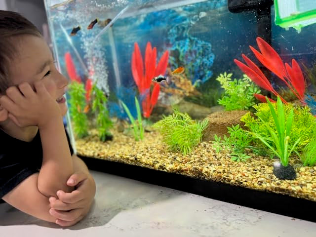 EcoBio-Block Aquarium Water Clarifier (Small, 8–16 gal) | Volcanic Rock — Lasts Up to 2 Years — No Weekly Additives — Long-Term Water Balance — Safe for Fish, Shrimp, Frogs & Turtles - size: 1 Pack, style: Small