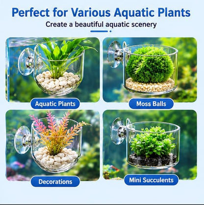 2Pcs Aquarium Plant Pot Set, Glass Fish Tank Plants Holder Aquarium Planter, Decoration Plants Cup with Suction Cups