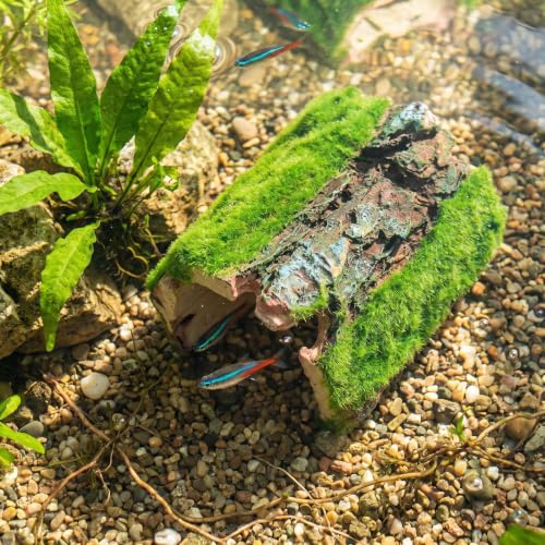 Reptile Hideout & Aquarium Cave Decor, Resin Hollow Log Hide for Fish Tank, Shrimp Turtle Lizard Betta Hiding Spot, Aquarium Ornament with Moss Look, 2.5"-4.1"