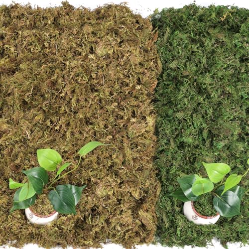 MAPVOLUT Artificial Moss - 45.86 OZ (2.89LB) - Premium Fake Moss Versatile for Crafts & Décor - Natural Look, Low Maintenance, Perfect for Fairy Gardens, Terrariums, Wedding Decor & Faux Potted Plants - color: Fresh Green & Brownish Green