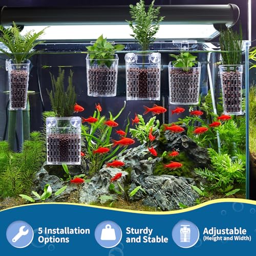 Newly Upgraded Aquarium Plant Holder | Adjustable in Height and Width, with Extendable Hook and Suction Cup, 4-Pack for Aquatic Plants and Aquariums(Transparent) - color: Transparent