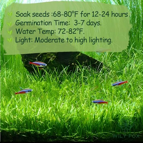 Premium Aquarium Plant Seeds for Planting – 8,000+ Live Mixed Seeds, 4 Varieties – Easy-to-Grow Aquatic Greenery for Lush, Vibrant Fish Tanks