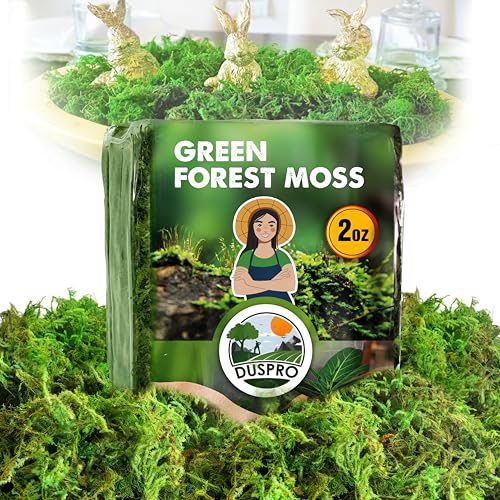 Green Forest Moss for Crafts, Real Dried Decorative Moss, 2 oz | Indoor Planter Soil Cover, Table Centerpieces, Wedding, Easter & Christmas Decor, DIY Projects - color: 2 Oz