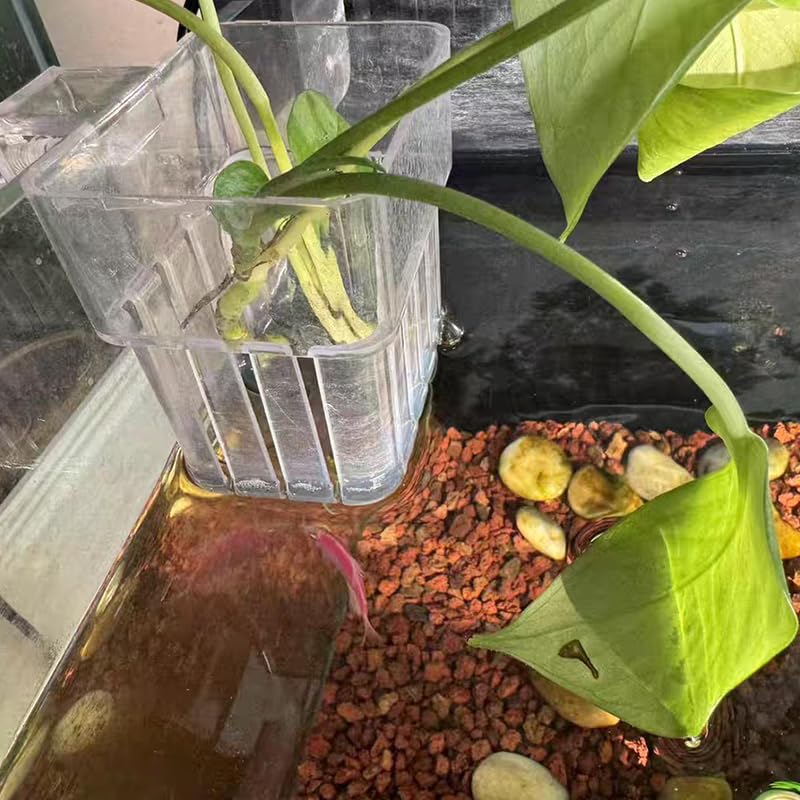 Clear Acrylic Aquarium Plant Holder Hanging Cups for Aquatic Plants Fish Tank