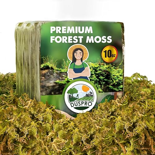 10 Oz Real Dried Forest Moss for Potted Plants, Plant Propagation | Hand-Picked & Clean, Easy to Rehydrate, Balanced Moisture, Forest Orchid Moss for Potting Mix,Moss Soil Cover for Houseplants - color: 10 OZ