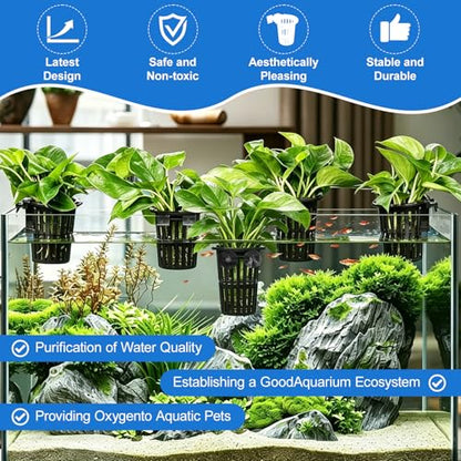 4Pack Aquarium Plant Holder ，Suction Cups and Hooks for Fish Tank Aquaponic Plant Cultivation and Different Tank Thickness，Black
