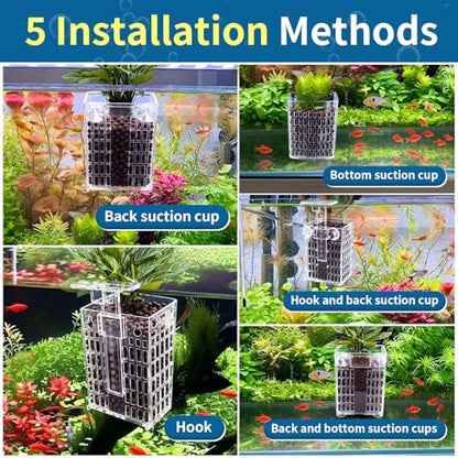 Newly Upgraded Aquarium Plant Holder | Adjustable in Height and Width, with Extendable Hook and Suction Cup, 4-Pack for Aquatic Plants and Aquariums(Transparent) - color: Transparent