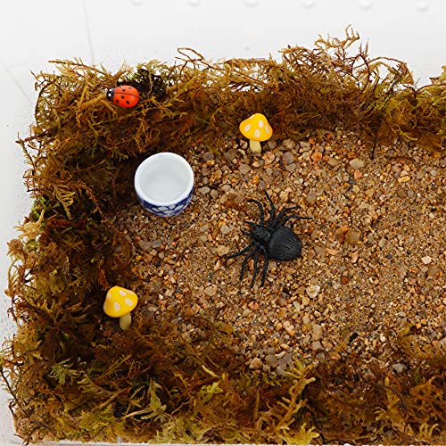 DQITJ 9 Pcs Spider Micro Ceramic Water Bowl, Hermit Crab Mini Dish for Spider Tarantula Hermit Crab Millipede Tiny Reptile