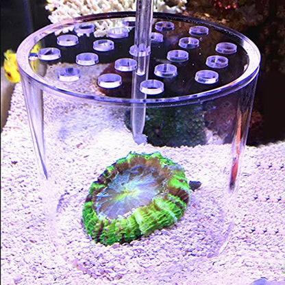 Acrylic Transparent Feeder Cover, Anti Feeding Shrimp Aquarium Accessory, Feeding with Feeding Tube for Fish Tank, Safe Reproduction Cover for Marine Life (150mm) - style: 150mm