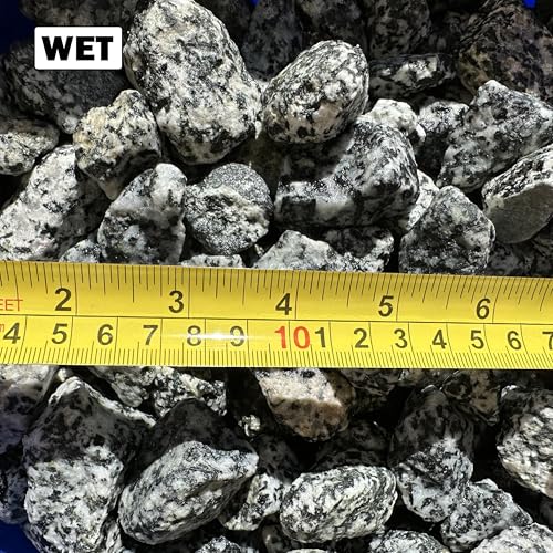 11 Pounds of Big Dalmatian Granite Stones 1" to 2" Size, Rocks Gravel Pebbles for Landscaping, Terrariums, Aquariums, Gardens, Pond Water Features, Flower Pots, Decorative Walkways, Bonsai, etc