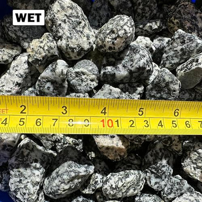 11 Pounds of Big Dalmatian Granite Stones 1" to 2" Size, Rocks Gravel Pebbles for Landscaping, Terrariums, Aquariums, Gardens, Pond Water Features, Flower Pots, Decorative Walkways, Bonsai, etc