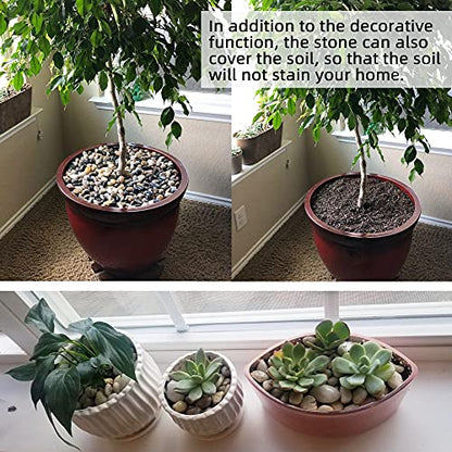 Pebbles for Plants 18 lb Natural River Rocks Garden Decorative Stones Outdoor Aquariums Gravel 1-1.5 Inches - size: 18LB, style: Colour