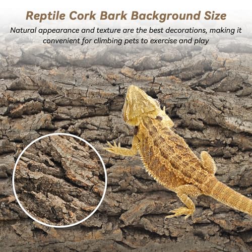 PINVNBY Natural Cork Bark Terrarium Background,15.74x11.81 Inches Reptile Tank Backdrop 3D Bearded Dragon Tank Climbing Wall Habitat Decor for Gecko Lizard Tortoise Frog Chameleon(1 PCS) - size: 【1 PCS】