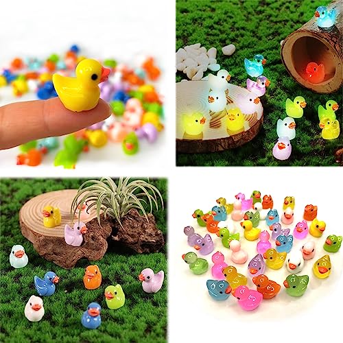 Cidinge 100pcs Mini Luminous Ducks & Resin Ducks for Micro Garden & Dollhouse Decor - style: 50pcs Resin Duck and 50pcs Luminous Duck