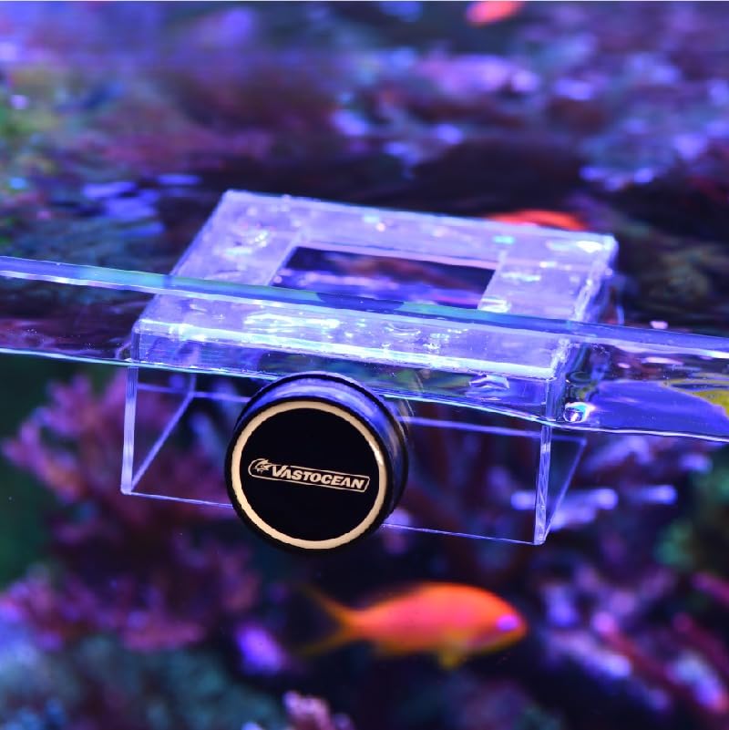 Strong Magnetic Acrylic Feeding Box Feeding Ring Aquarium Fish Food Fish Food Feeding Ring Feeding Ring (Transparency) - color: transparency