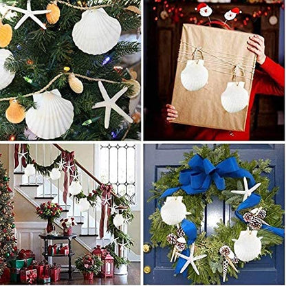 SEAJIAYI 10 PCS Large Scallop Shells 4-5 inch Natural White Scallop Shells from Sea Beach for DIY Craft Decor - size: XL-LARGE