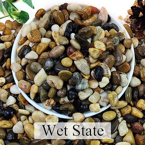 2lbs Natural River Rocks for Plants, 3/8" Aquarium Gravel | Decorative Polished Mixed Pebbles for Fish Tank, Gardening, Flower Pots, Vase Fillers, Indoor Water Fountains, Landscaping - size: 3/8 Inch