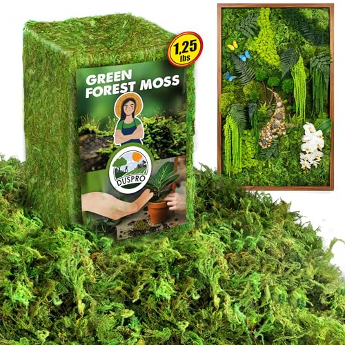 Green Forest Moss for Crafts, Real Dried Decorative Moss, 1.25 Lbs | Indoor Planter Soil Cover, Table Centerpieces, Wedding, Easter & Christmas Decor, DIY Projects - color: 1.25 Lbs