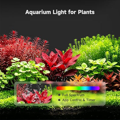 M1 5 Gal Smart Aquarium Starter Kit - App-Controlled Betta Fish Tank with Auto Feeder, Adjustable Pump, Temp Display, Leak-Proof Glass, Timer LED Light, Desktop Tank for Home or Office, Black - color: Black