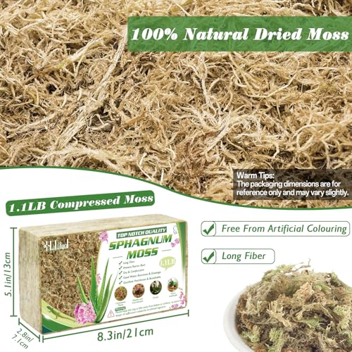 Halatool 1.1 LB Sphagnum Moss for Plants, 25 QT Long Fiber Orchid Moss | Drainage & Moisture Retention, Natural Moss for Ferns, Succulents, Carnivorous, Orchid Repotting, Terrariums, Reptile Bedding - size: 25 qt (1.1 lbs)
