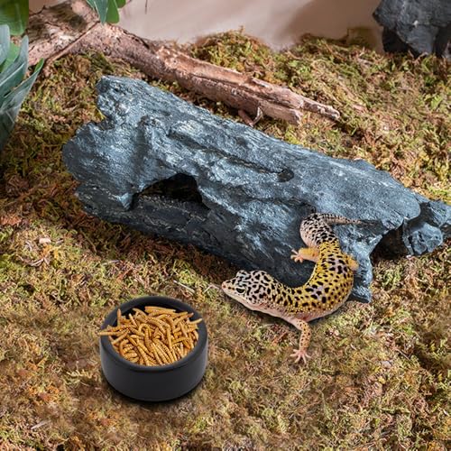 3 Pack Reptile Ceramic Feeding Bowl Food and Water Dish Anti Escape Bowl for Small Reptile Spider Lizard Gecko Frog Turtle Hermit Crab (Black)