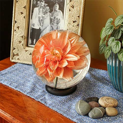 Achla Designs Flower Aquariums Glass Vase Set – Pack of 6 Glass Orb Flower Display Vases with Floral Frog Bases, Water Filled Flower Magnifier Centerpieces for Home or Events