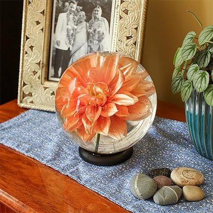 Achla Designs Flower Aquariums Glass Vase Set – Pack of 6 Glass Orb Flower Display Vases with Floral Frog Bases, Water Filled Flower Magnifier Centerpieces for Home or Events