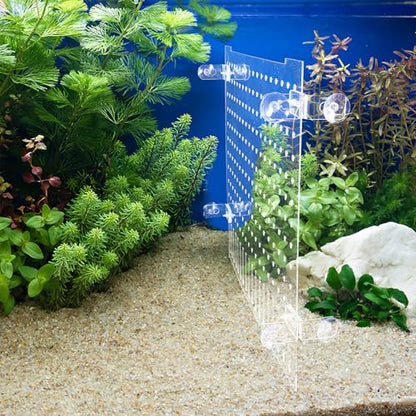 Hemoton Fish Tank Divider Acrylic Isolation Board with Suction Cups 35x30cm Aquarium Partition for Fish Shrimp Separation