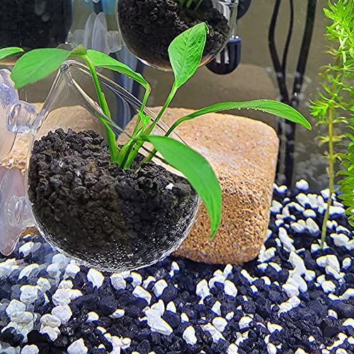 WEAVERBIRD Aquarium Plant Decoration with 2 Suction Cups for Fish Tank, Glass