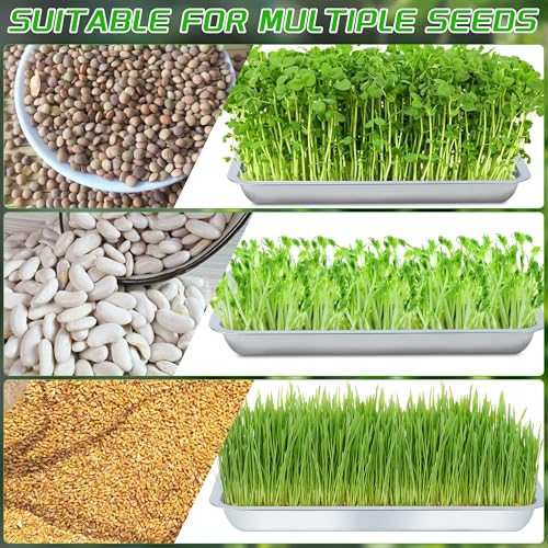 6 Pack Seed Starter Tray 13.78x 10.24x 1.38Inch Plant Germination Trays Stainless Steel Seed Sprouting Trays Microgreens Growing Trays