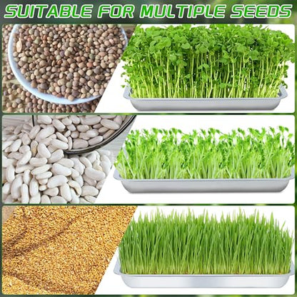 6 Pack Seed Starter Tray 13.78x 10.24x 1.38Inch Plant Germination Trays Stainless Steel Seed Sprouting Trays Microgreens Growing Trays