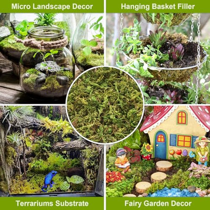4.4LB Sphagnum Moss for Plants, 80QT Natural Long Fiber Orchid Moss | Drainage & Moisture Retention, Green Plant Moss for Orchid Repotting, Carnivorous, Succulents, Reptile Bedding & Terrariums - size: 4.4LB