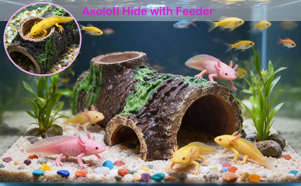 Size S 10-Piece Axolotl Habitat Enrichment Set with Hammock, Hideout, Floating Ball, Float Net, Entertain Rings, Nylon Mesh with Suction Cup for Fish Tank Axolotl Hide for Aquarium - size: Small