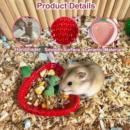 2PCS Hamster Bowl, Hamster Food Dish Ceramic Food Water Feeding Bowl Small Animal Bowls for Gerbil Rat Mice Hedgehog (Strawberry) - color: 2Pcs Strawberry bowl