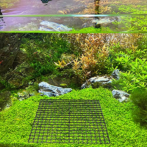 COLLBATH 10pcs Fish Tank Grid Divider Tray Aquarium Separation Net for Breeding and Aggressive Fish Easy Installation Isolation Board for Bottom Use