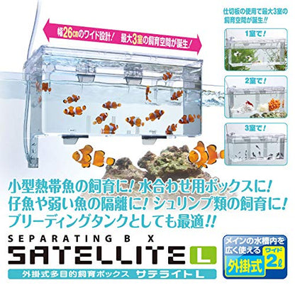 External / Hang On Plastic Aquarium Fish Breeding Box Satellite L (new)