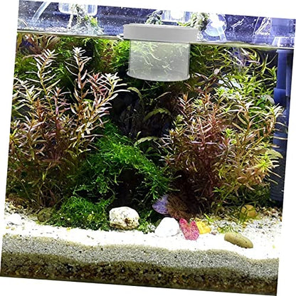 Mikikit Floating Fish Breeding Box with Removable Cover and Permeable Bottom Small Aquarium Isolation Tank for Fry Protection and Water Flow Suitable for Saltwater and Freshwater Fish