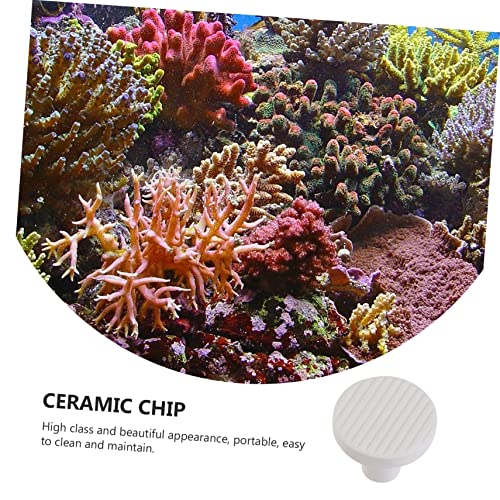 BESPORTBLE 10pcs Ceramic Breeding Base Plugs Coral Base Aquarium Plants Decor Supports