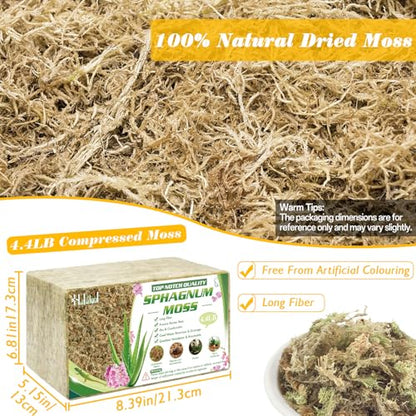 Halatool 4.4 LB Sphagnum Moss for Plants, 85 QT Long Fiber Orchid Moss | Drainage & Moisture Retention, Natural Moss for Ferns, Succulents, Carnivorous, Orchid Repotting, Terrariums, Reptile Bedding - size: 85 qt (4.4 lbs)